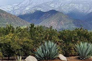 Single Family Residence, 303 Lark Ellen ave, Ojai, CA 93023 - 46