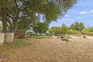 Single Family Residence, 514 Avenida de la Vereda, Ojai, CA 93023 - 38