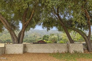 Single Family Residence, 514 Avenida de la Vereda, Ojai, CA 93023 - 8