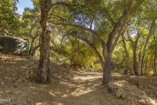 Single Family Residence, 3111 Matilija Canyon rd, Ojai, CA 93023 - 29