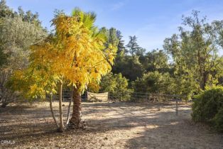 Single Family Residence, 4306 Hendrickson rd, Ojai, CA 93023 - 16