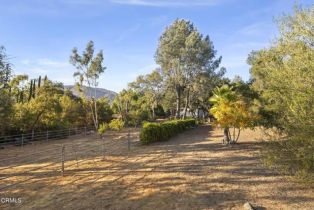 Single Family Residence, 4306 Hendrickson rd, Ojai, CA 93023 - 31