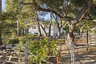 Single Family Residence, 4306 Hendrickson rd, Ojai, CA 93023 - 45