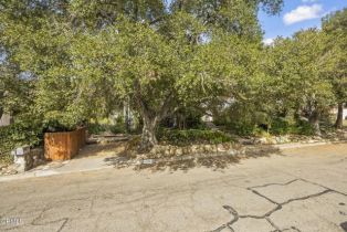 Single Family Residence, 1209 Manzanita dr, Santa Paula, CA 93060 - 3