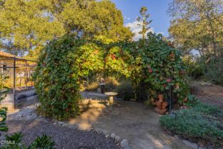 Single Family Residence, 861 Oak Grove ct, Ojai, CA 93023 - 19