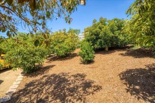 Single Family Residence, 706 Alosta dr, Camarillo, CA 93010 - 60