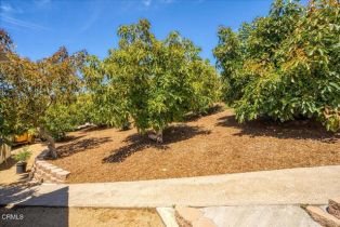 Single Family Residence, 706 Alosta dr, Camarillo, CA 93010 - 69