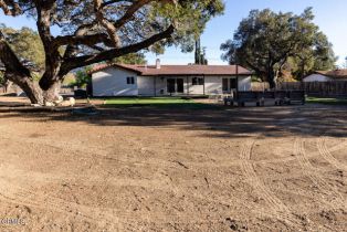 Single Family Residence, 165 Burnham rd, Oak View, CA 93022 - 30