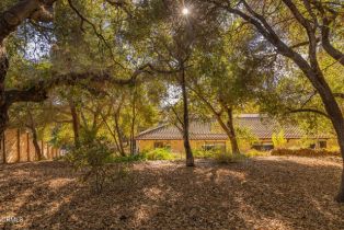 Condominium, 410 Church rd, Ojai, CA 93023 - 11