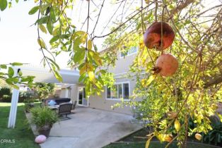 Single Family Residence, 1519 Lyndhurst ave, Camarillo, CA 93010 - 35