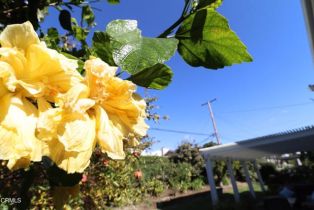 Single Family Residence, 1519 Lyndhurst ave, Camarillo, CA 93010 - 36