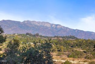 Single Family Residence, 12250 Linda Flora dr, Ojai, CA 93023 - 63