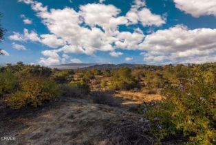 Single Family Residence, 1035 Moreno dr, Ojai, CA 93023 - 44