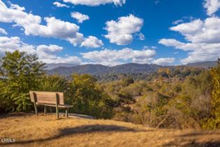 Single Family Residence, 1035 Moreno dr, Ojai, CA 93023 - 45