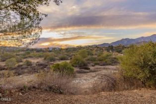 Single Family Residence, 1035 Moreno dr, Ojai, CA 93023 - 6