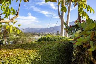 Single Family Residence, 984 Loma Vista pl, Santa Paula, CA 93060 - 41