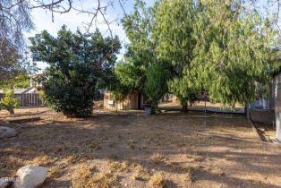 Single Family Residence, 144 11th st, Santa Paula, CA 93060 - 14