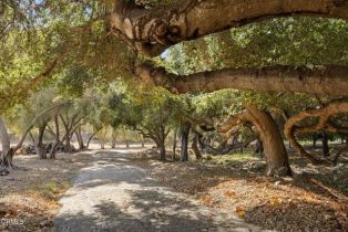 Single Family Residence, 2250 Hermitage rd, Ojai, CA 93023 - 2