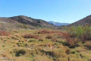 , 0 Dickenson rd, Santa Paula, CA 93060 - 8