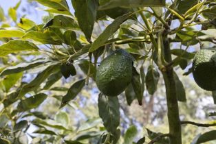 , 0 Laguna rd, Oxnard, CA 93033 - 16