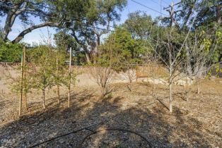 Single Family Residence, 1285 Fierro dr, Ojai, CA 93023 - 30