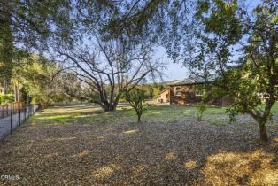 Single Family Residence, 1579 Orchard dr, Ojai, CA 93023 - 22