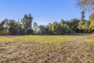 Single Family Residence, 1579 Orchard dr, Ojai, CA 93023 - 27