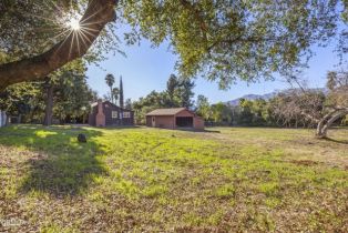 Single Family Residence, 1579 Orchard dr, Ojai, CA 93023 - 28