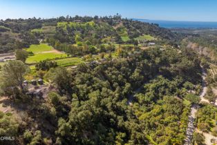 , 0 Gobernador Canyon Rd rd, Carpinteria, CA 93013 - 16