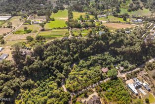 , 0 Gobernador Canyon Rd rd, Carpinteria, CA 93013 - 20