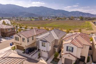 Condominium, 342 Campbell ct, Santa Paula, CA 93060 - 29