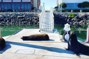 Condominium, 3110 Sunset ln, Oxnard, CA 93035 - 29