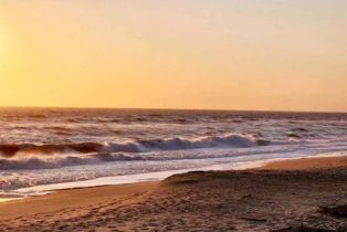 Condominium, 3110 Sunset ln, Oxnard, CA 93035 - 32