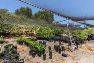 , 6790 Worth way, Camarillo, CA 93012 - 13