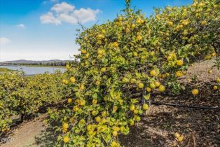 , 0 Sand Canyon rd, Somis, CA 93066 - 2