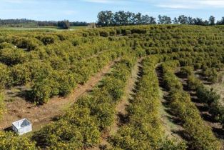 , 0 Sand Canyon rd, Somis, CA 93066 - 3