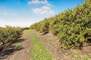 , 0 Sand Canyon rd, Somis, CA 93066 - 4