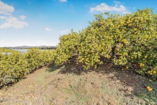 , 0 Sand Canyon rd, Somis, CA 93066 - 7