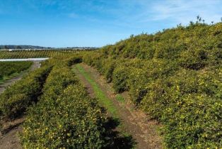 , 0 Sand Canyon rd, Somis, CA 93066 - 8