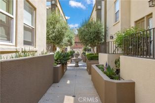 Condominium, 80  N Raymond AVE, CA  , CA 91103