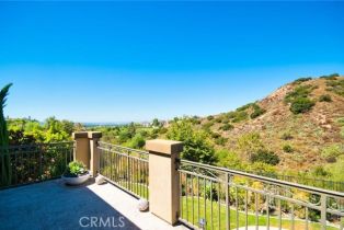 Single Family Residence, 3811 Belgian ln, Yorba Linda, CA 92886 - 29