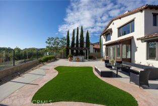 Single Family Residence, 8 Wayside, Newport Coast, CA 92657 - 30