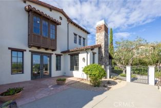 Single Family Residence, 8 Wayside, Newport Coast, CA 92657 - 32