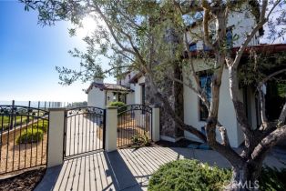 Single Family Residence, 8 Wayside, Newport Coast, CA 92657 - 33