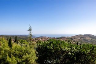 Single Family Residence, 8 Wayside, Newport Coast, CA 92657 - 39