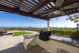 Single Family Residence, 8 Wayside, Newport Coast, CA 92657 - 4